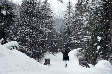 Dağların arka planında bir kadın portresi. Kış
