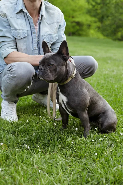 Homme Avec Son Bouledogue Français Dans Parc Urbain — Photo