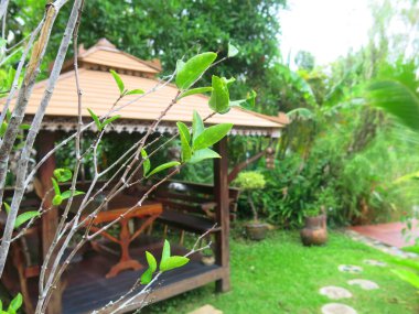 Parktaki güzel bahçe.