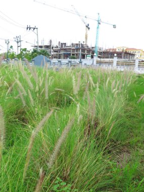 Gökyüzünün arka planında inşaat vinçleri 
