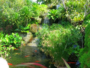 Parkın güzel manzarası