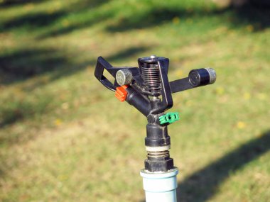 Parkın arka planında hortumu olan yeşil çimenler. 