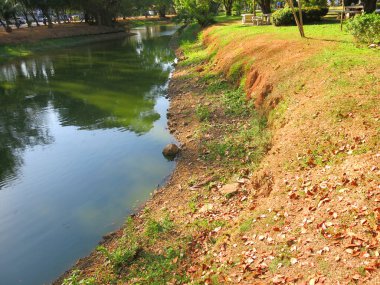 Güzel göl manzarası