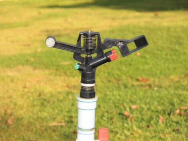 Parkın arka planında hortumu olan yeşil çimenler. 