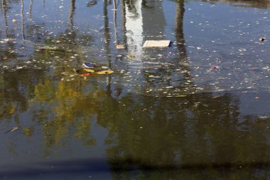 Suda yüzen çöplerle dolu bir gölet
