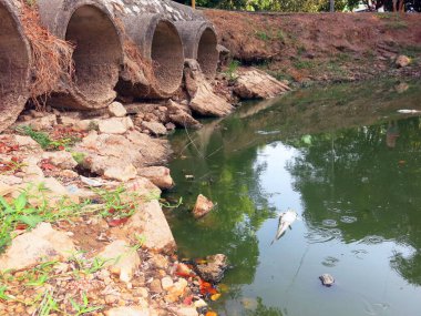 Parktaki nehrin güzel manzarası