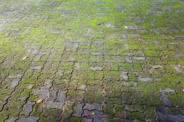 eski taş kaldırım dokusu arkaplanı