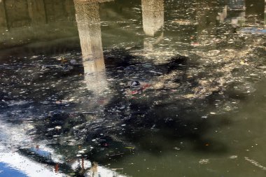 Suda yüzen çöplerle dolu bir gölet