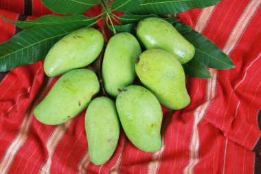 Taze mango meyveleri, yakın görüş.