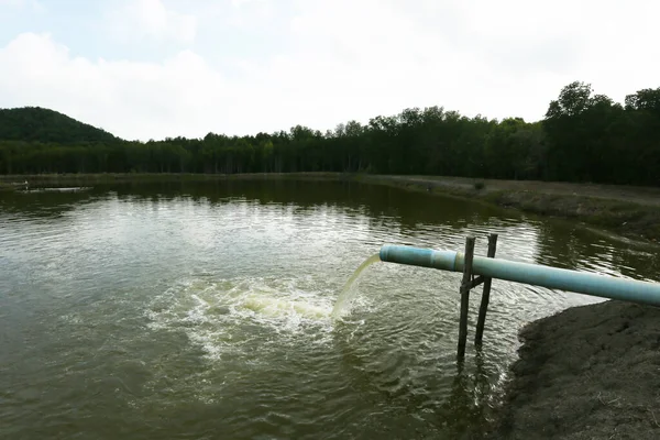 water pipes in the river