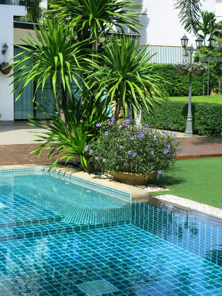 Mooi Luxe Zwembad Hotel Resort — Stockfoto