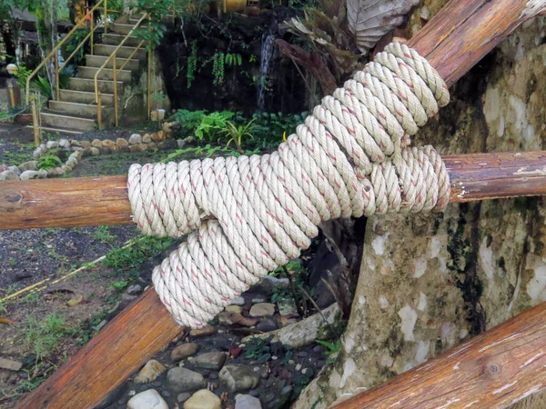 Closeup Shot Tree Rope — Stok Foto