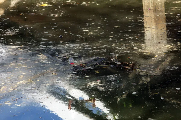 Pond Garbage Floating Water — Φωτογραφία Αρχείου