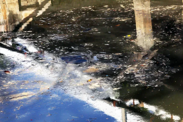 Lagoa Com Lixo Flutuando Água — Fotografia de Stock