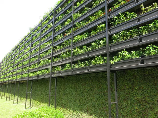 Green Garden Greenhouse — Stock Photo, Image
