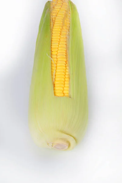 Fresh Corn White Background — Stock Photo, Image