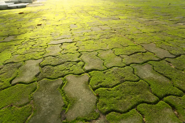 Abstract Background Old Asphalt Road — Stock Photo, Image