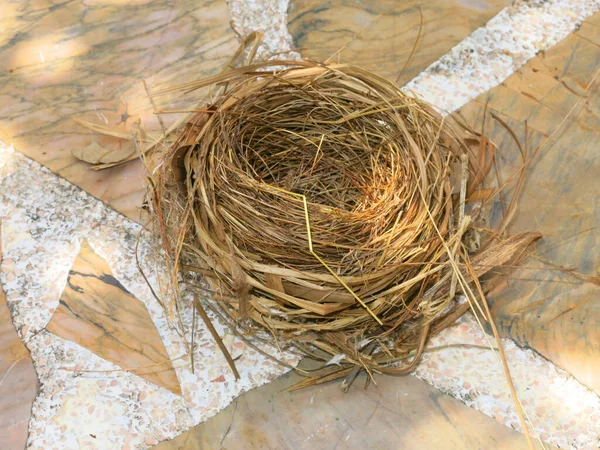 Close View Empty Bird Nest — Zdjęcie stockowe