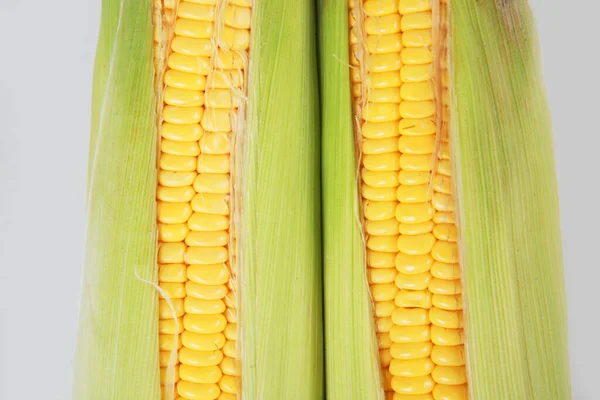 白色背景的新鲜玉米 — 图库照片