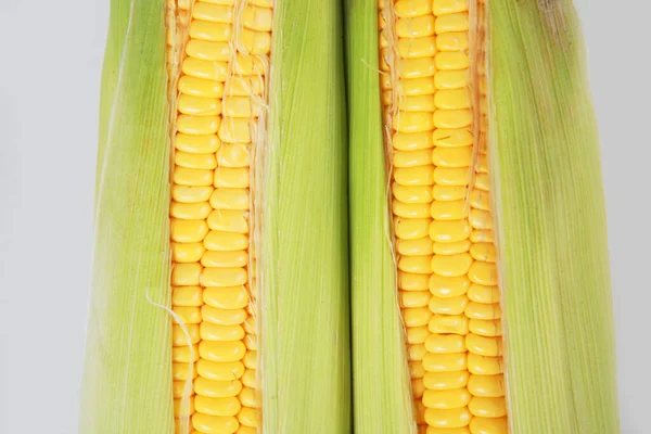 Fresh Corn White Background — Stock Photo, Image