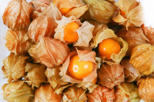 Torkade Frukter Vit Bakgrund — Stockfoto