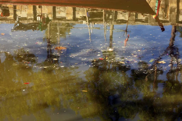 Pond Garbage Floating Water — 图库照片