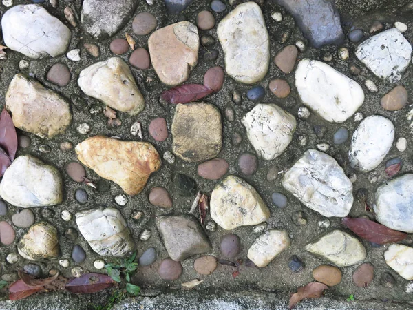 Stone Pavement Stones Pebbles — Stock Photo, Image