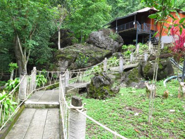 Parktaki tahta köprü.