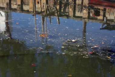 pond with garbage floating in water