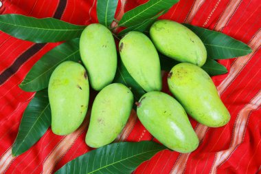 Taze mango meyveleri, yakın görüş.