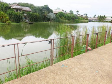 Parkın güzel manzarası