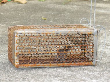 Eski paslı kafesteki hayvan