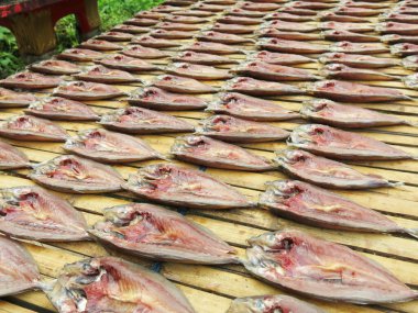 Sokaktaki balık pazarı