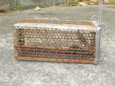 Eski paslı kafesteki hayvan