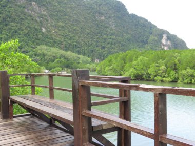 Dağlarda ahşap köprü