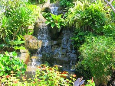 Parktaki güzel bahçe.