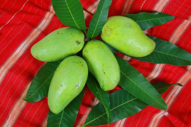 Taze mango meyveleri, yakın görüş.