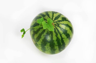 Beyaz arka planda izole edilmiş karpuz. yaz konsepti. 