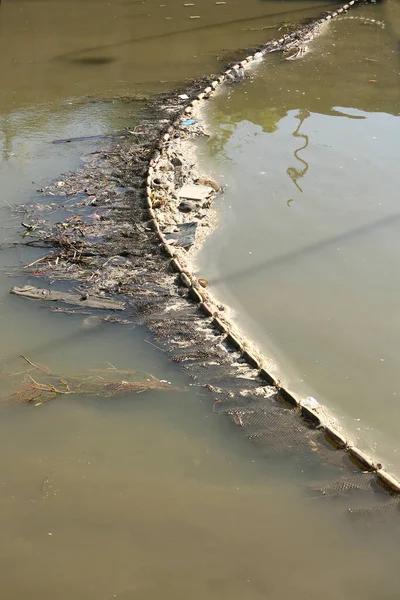 Pond Garbage Floating Water — Stok fotoğraf