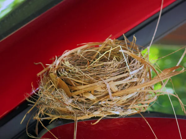 Close View Empty Bird Nest — 图库照片