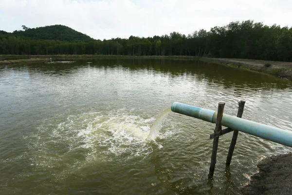 water pipes in the river