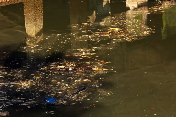 Pond Garbage Floating Water — Φωτογραφία Αρχείου