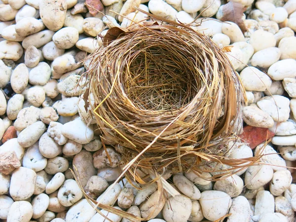 Close View Empty Bird Nest — 图库照片