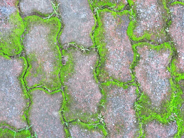 Textura Pared Piedra Con Grietas Musgo —  Fotos de Stock