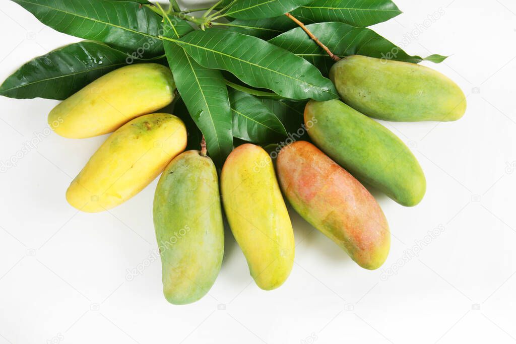 fresh mango fruits on white background 