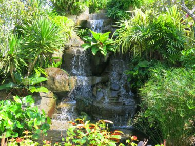 Parktaki güzel şelale