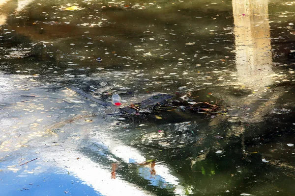 Teich Mit Wasser Schwimmendem Müll — Stockfoto