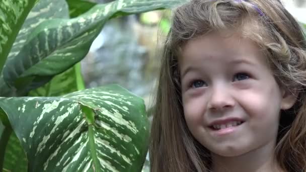 Insatisfait petit tout-petit fille — Video