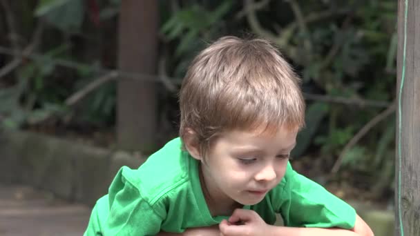 Jonge nieuwsgierig peuter jongen — Stockvideo