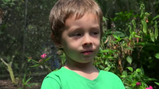 Συγχέεται μικρά παιδία αγόρι — Αρχείο Βίντεο